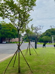 成功湖