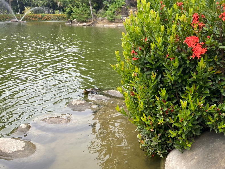 成功湖