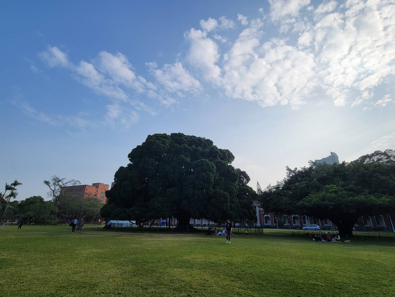 榕園
