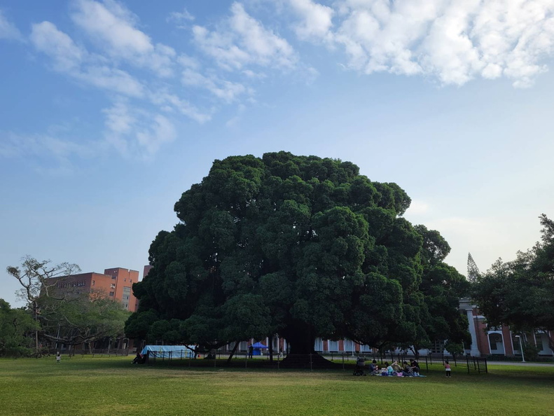 榕園