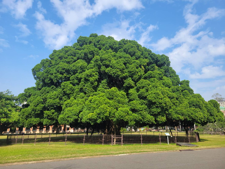榕園