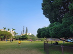 榕園