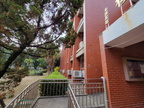 唯農大樓