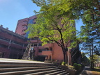 雲平大樓