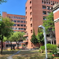 鳳凰樹劇場
