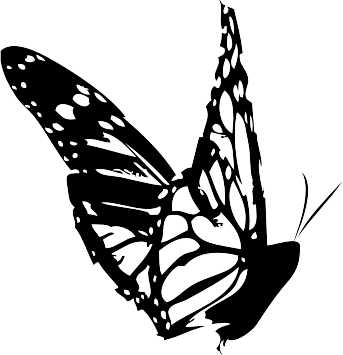 butterfly_2.png