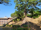 小西門及小東門殘蹟