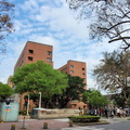 鳳凰樹劇場