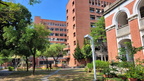 鳳凰樹劇場