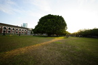 榕園